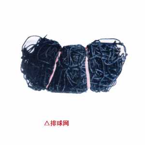 排球網